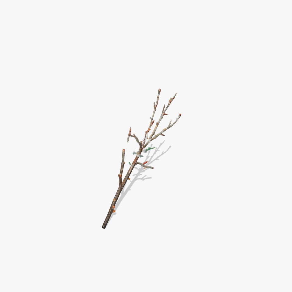 Snowy Branch Model Pack for Natural Scenes